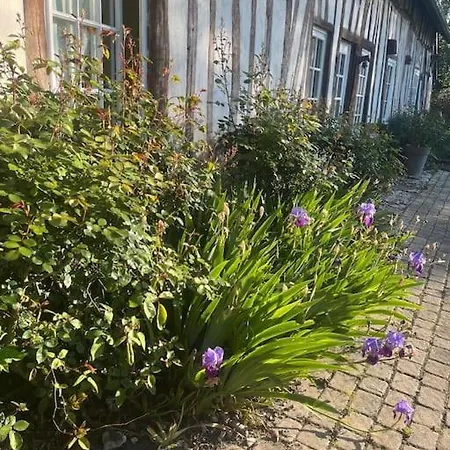 Maison Normande + Piscine Chauffee - 9 Personnes Vatteville-la-Rue